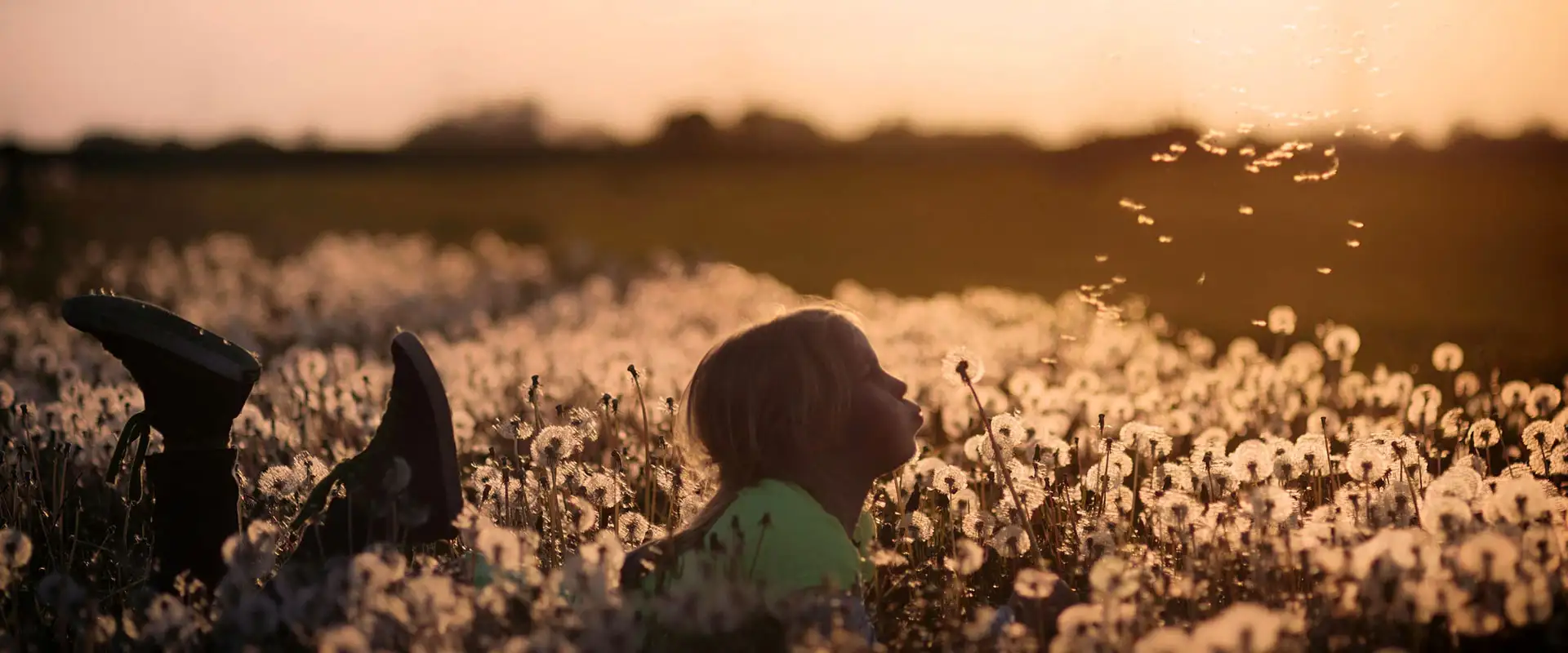 Ein Kind liegt auf der Wiese und pustet eine Pusteblume